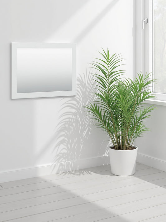 Bostwick Shoals Bedroom Mirror